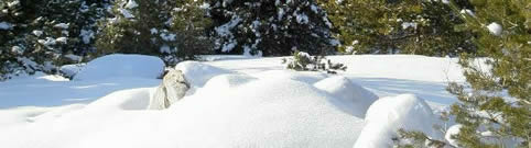 Snow